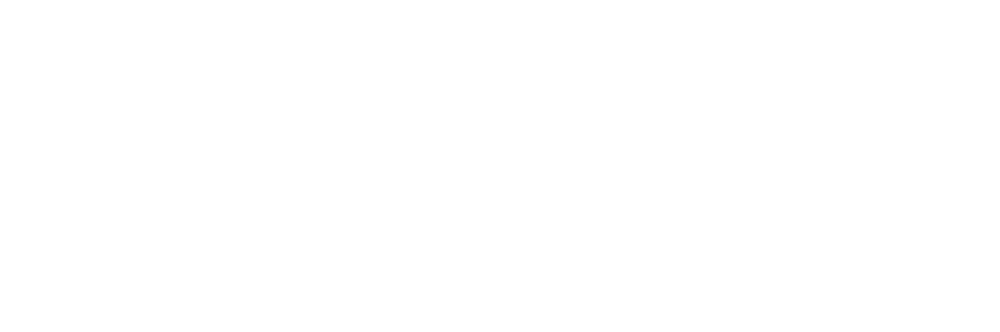 Pernix-logo inverted